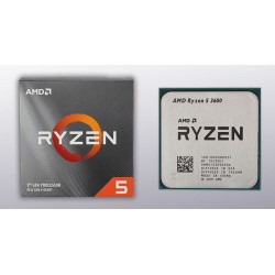 Buy AMD Ryzen 5 3600 Processor